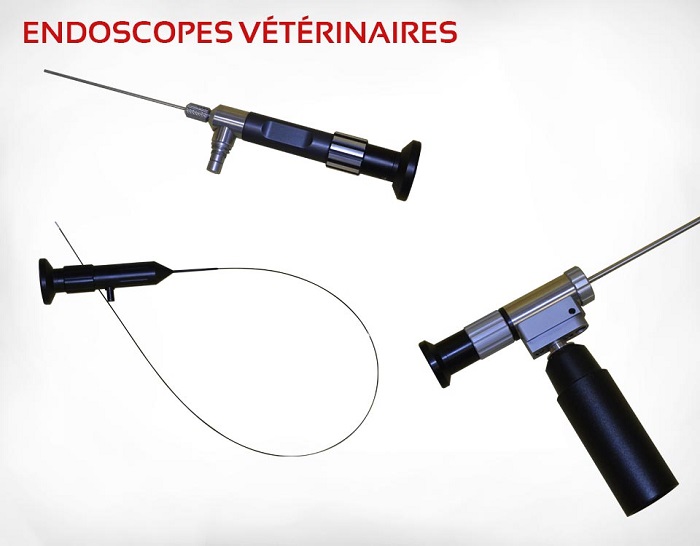 Prix bon marché de la vidéo de l'estomac Vet Endoscope Endoscopie